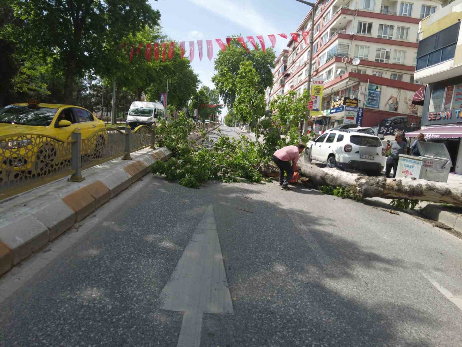 Edirne&rsquo;de devrilen ağa&ccedil; yolu trafiğe kapattı
