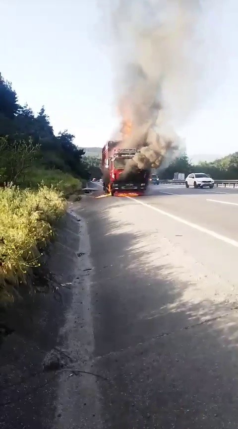 Hayvan yüklü kamyon alevlere teslim oldu