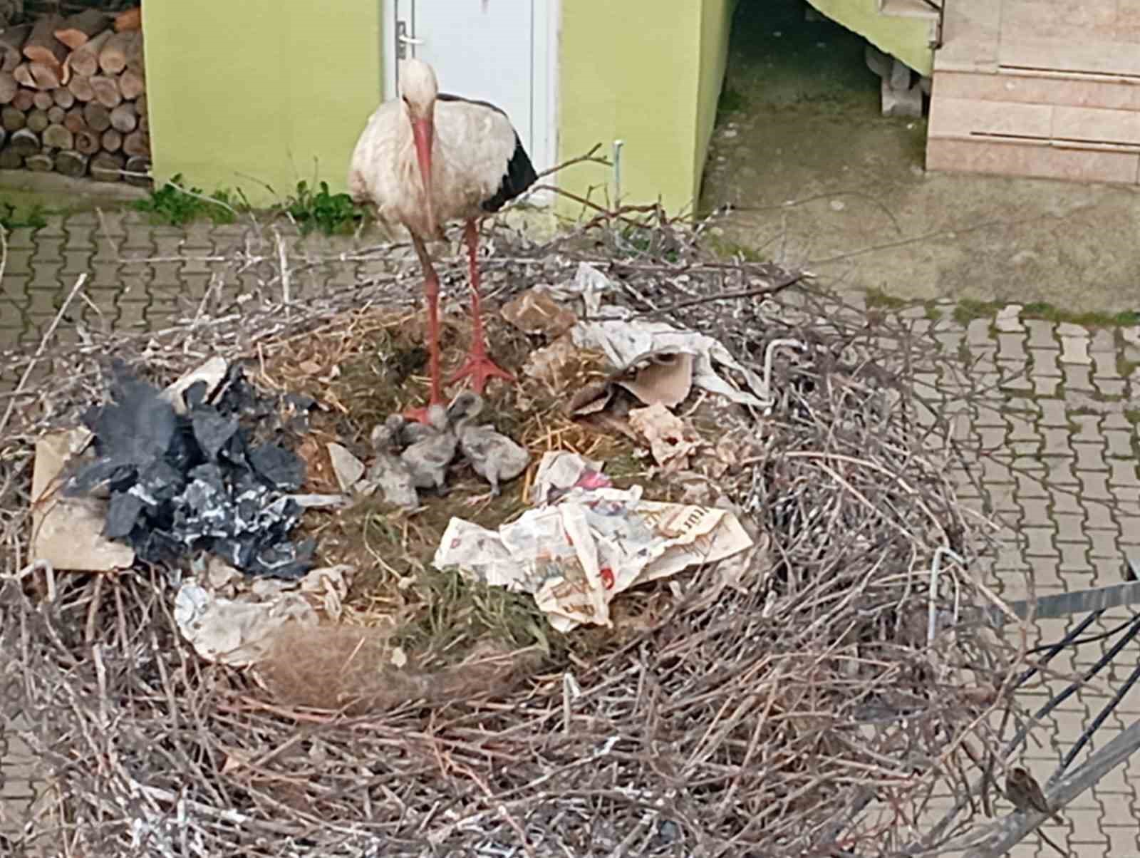 Yaren’in rakibi Bilal Leylek baba oldu
