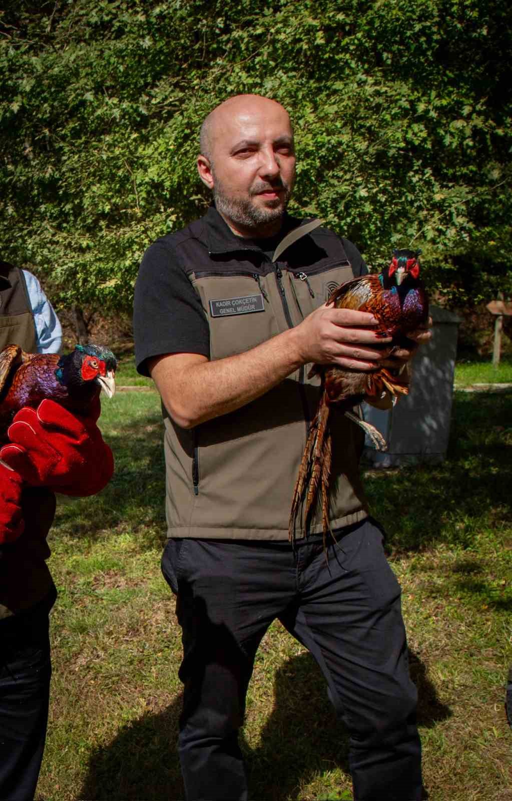 Kahverengi kokarcaya karşı s&uuml;l&uuml;n
