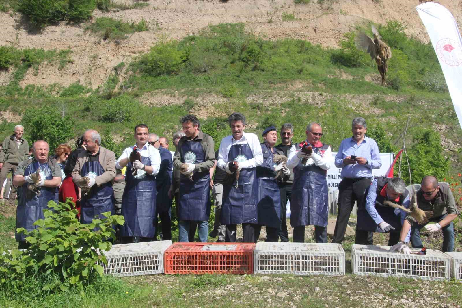Ordu’da kokarcaya karşı sülün
