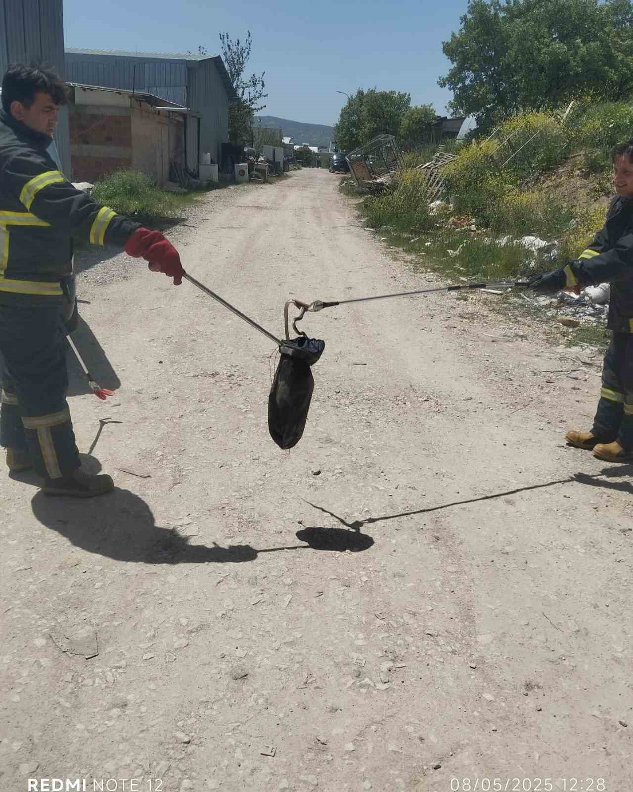 Gediz’de baharın gelmesiyle yılanlar görülmeye başladı