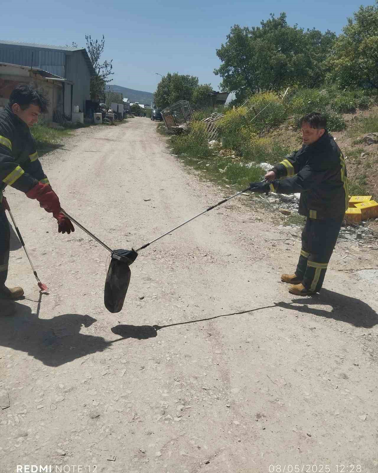 Gediz’de baharın gelmesiyle yılanlar görülmeye başladı
