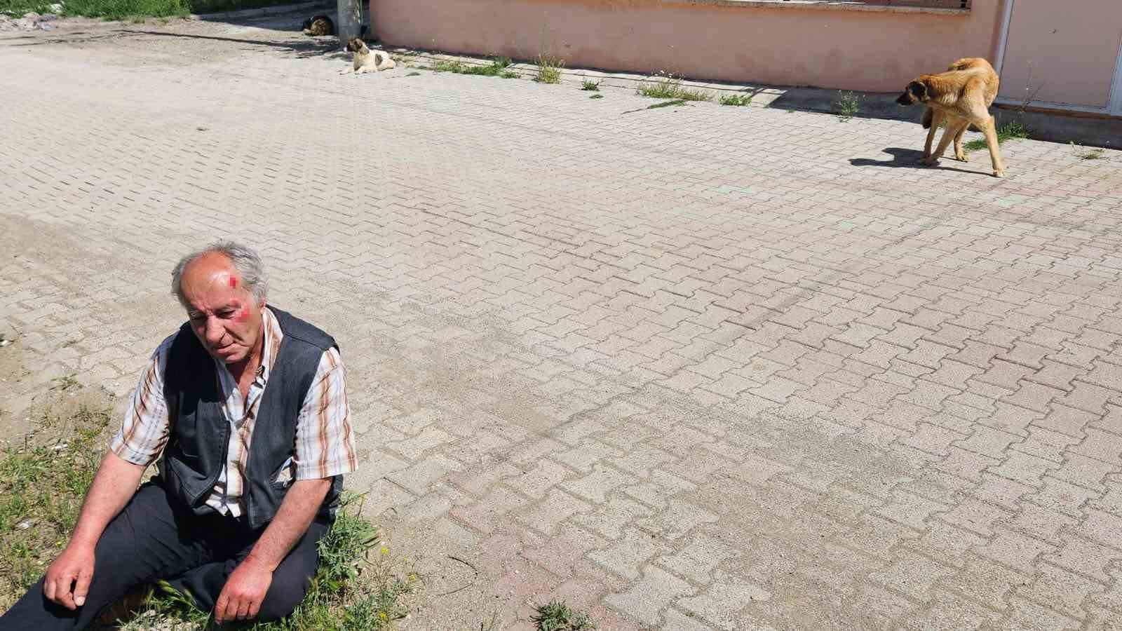 Salda’da köpeklerin saldırısına uğrayan yaşlı adam yaralandı
