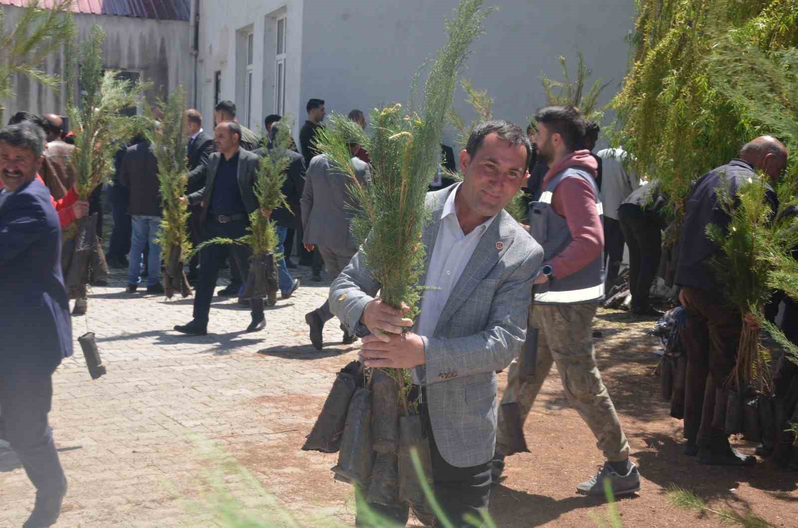 Bulanık’ta 5 bin çam fidanı dağıtıldı