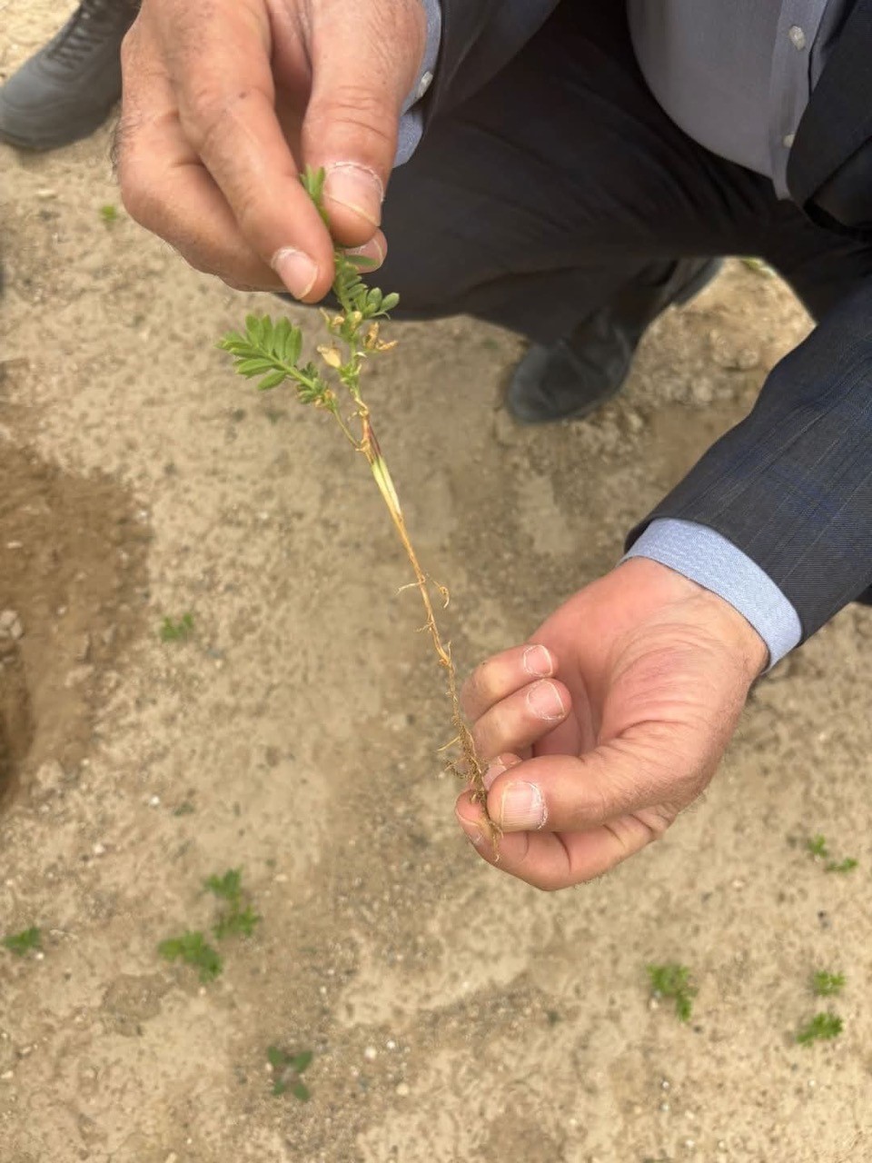 Kulu&rsquo;da tarım alanlarında kontroller devam ediyor
