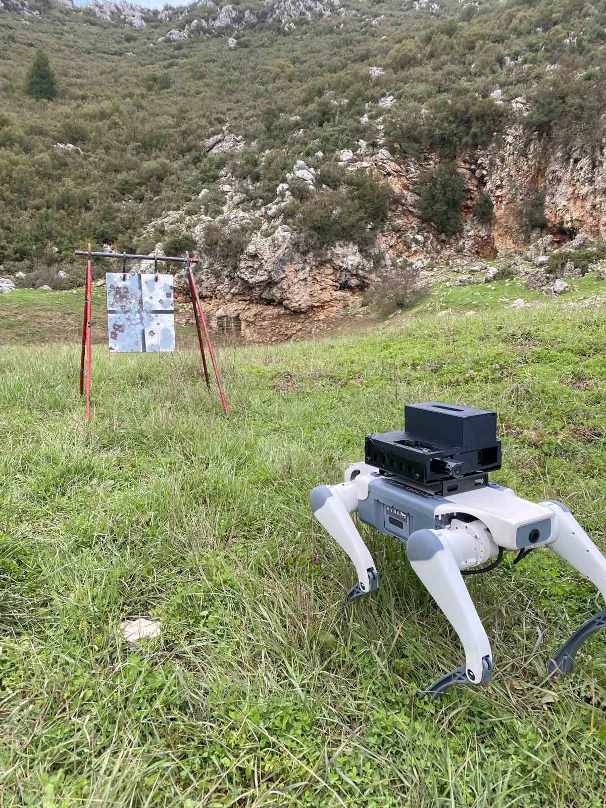 Yerli savunma sanayi firmasından robotik köpek atılımı: "AyBARS"
