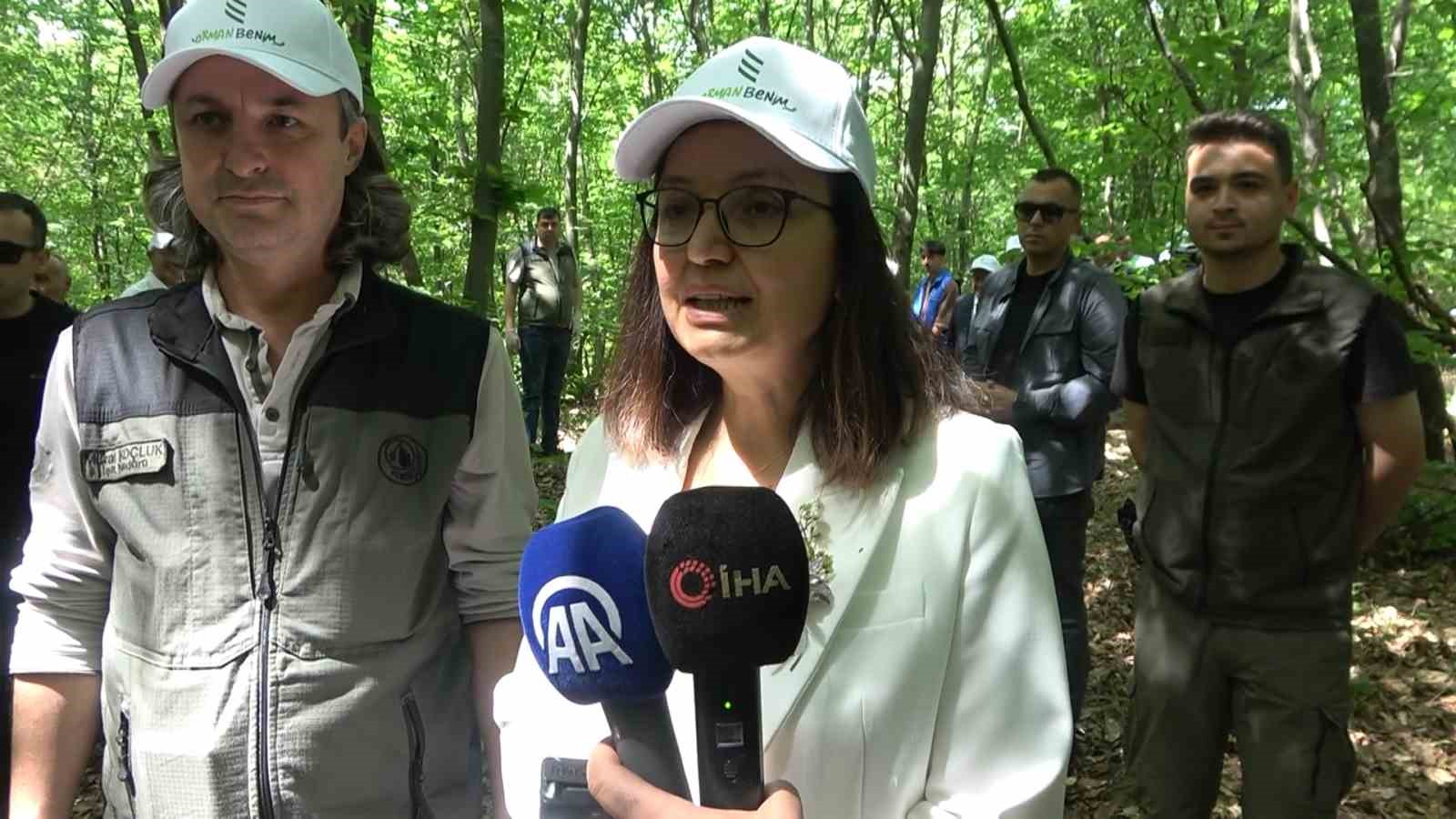 Yalova&rsquo;da "Orman Benim" etkinliği
