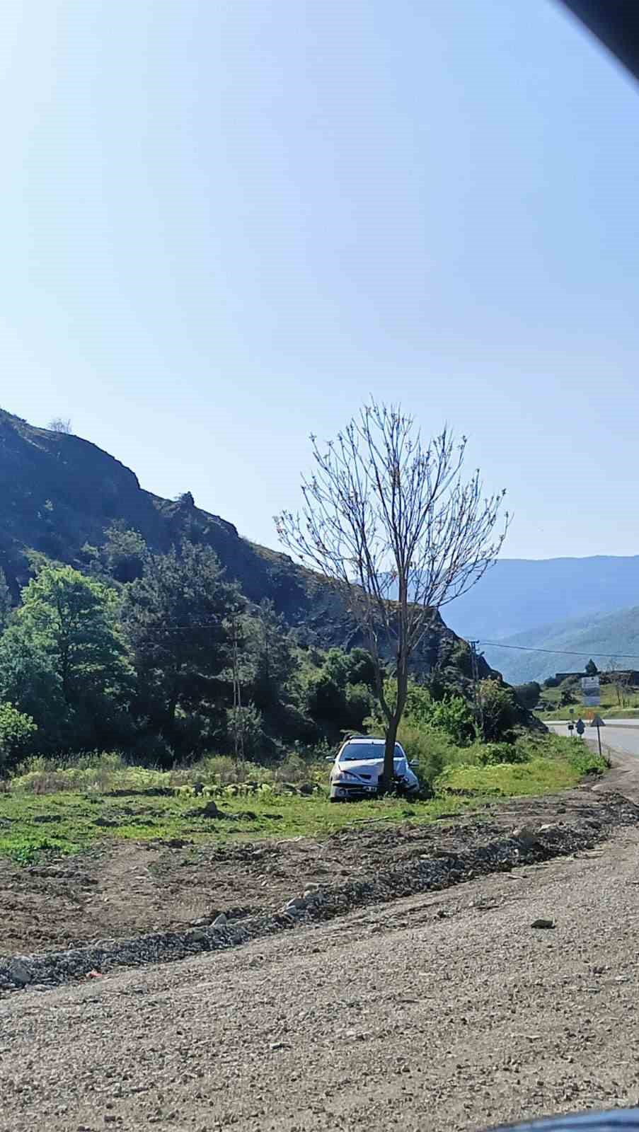 Kastamonu&rsquo;da otomobil ağaca &ccedil;arptı: 2 yaralı
