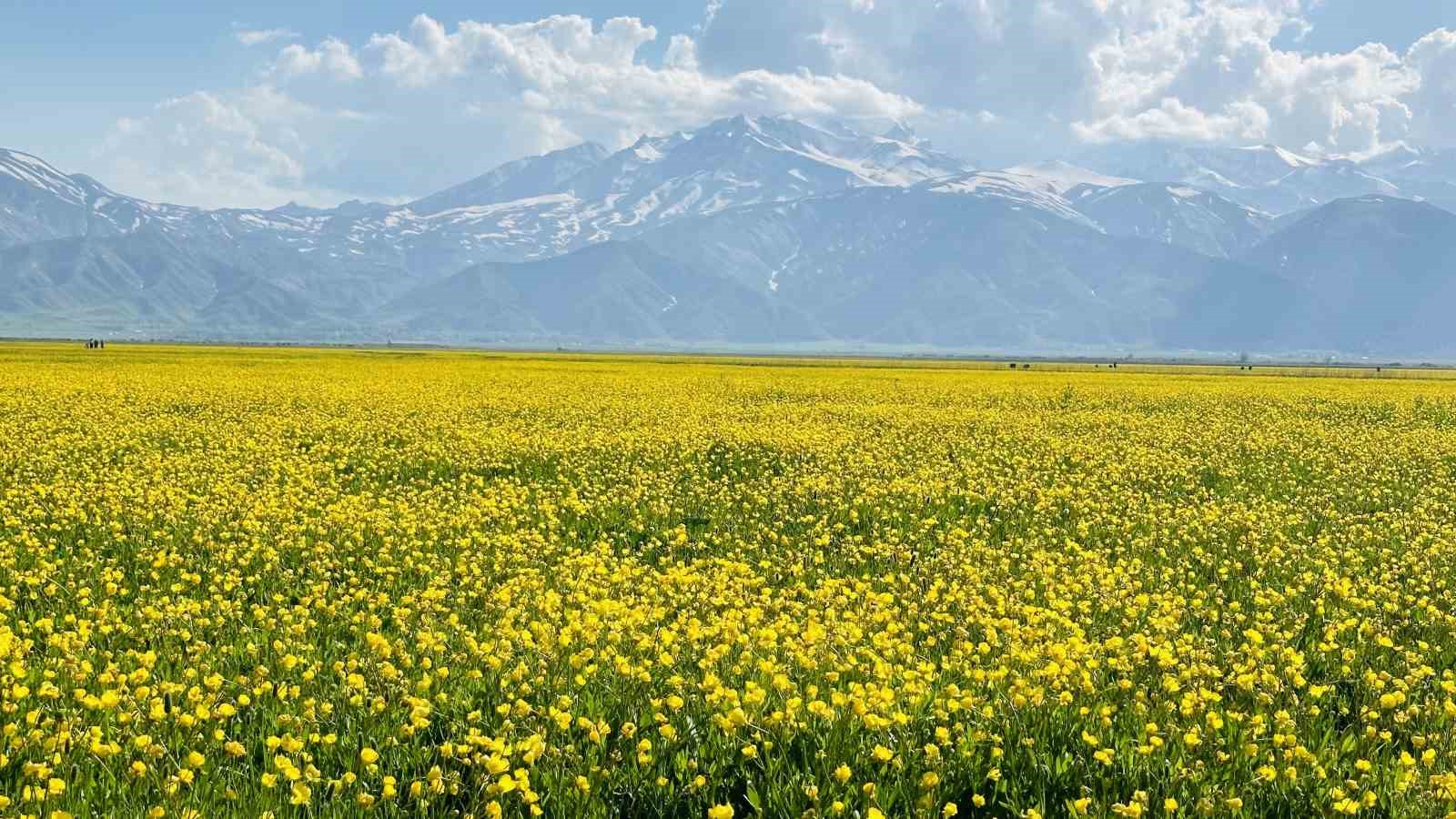 Y&uuml;ksekova&rsquo;da iki mevsim arası renk c&uuml;mb&uuml;ş&uuml;
