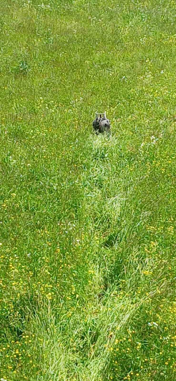 A&ccedil;ık unutulan t&uuml;p yangına neden oldu
