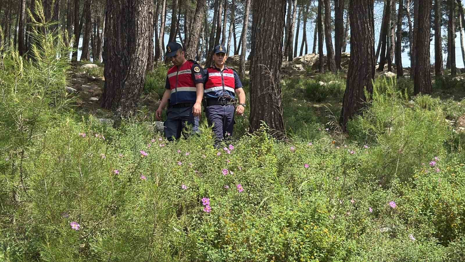 Bodrum’da ormanlara giriş yasaklandı, jandarma termal dronla kuş uçurtmuyor