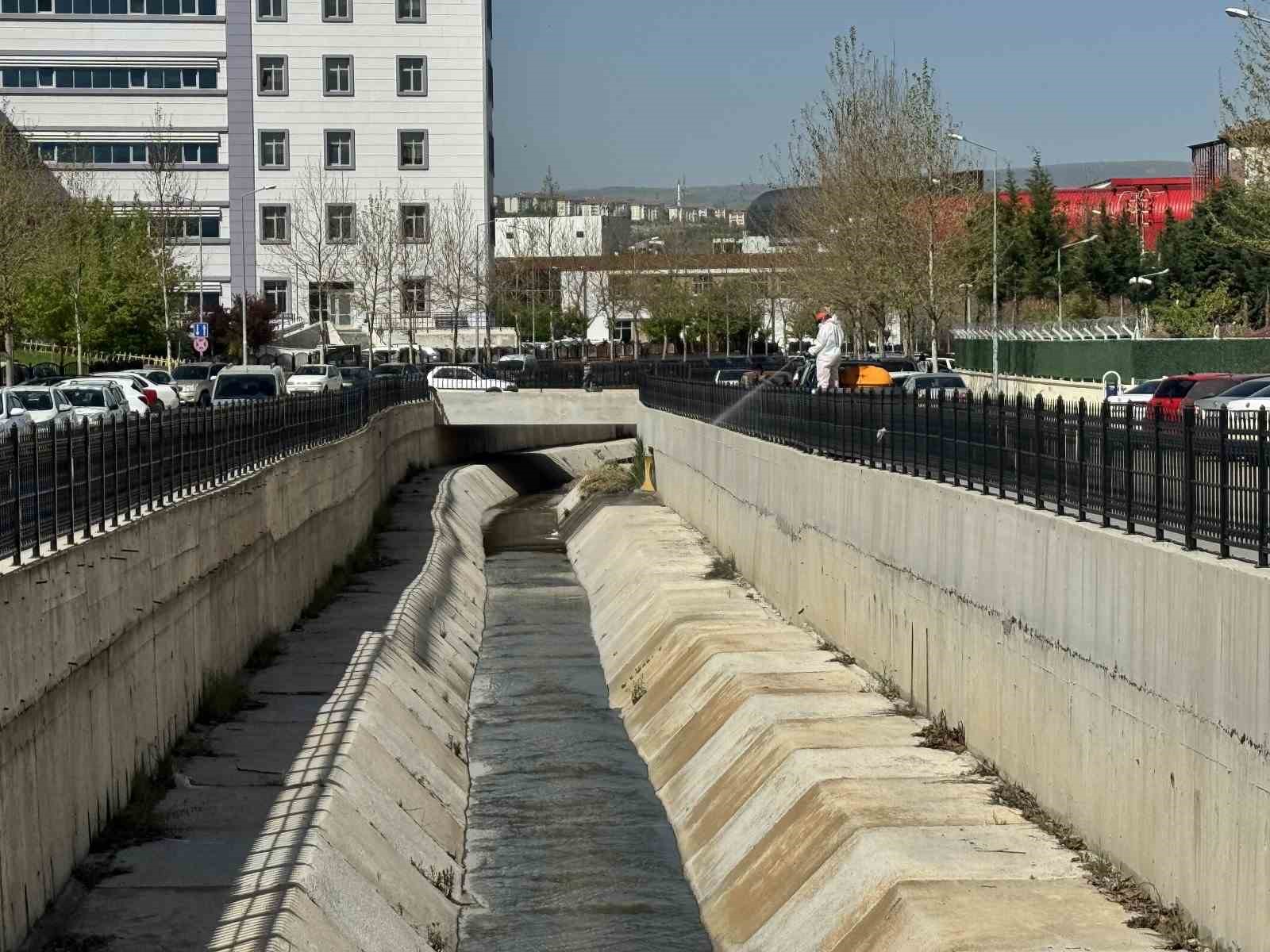 &Ccedil;orum Belediyesi ekipleri vekt&ouml;rel m&uuml;cadele i&ccedil;in gece-g&uuml;nd&uuml;z sahada
