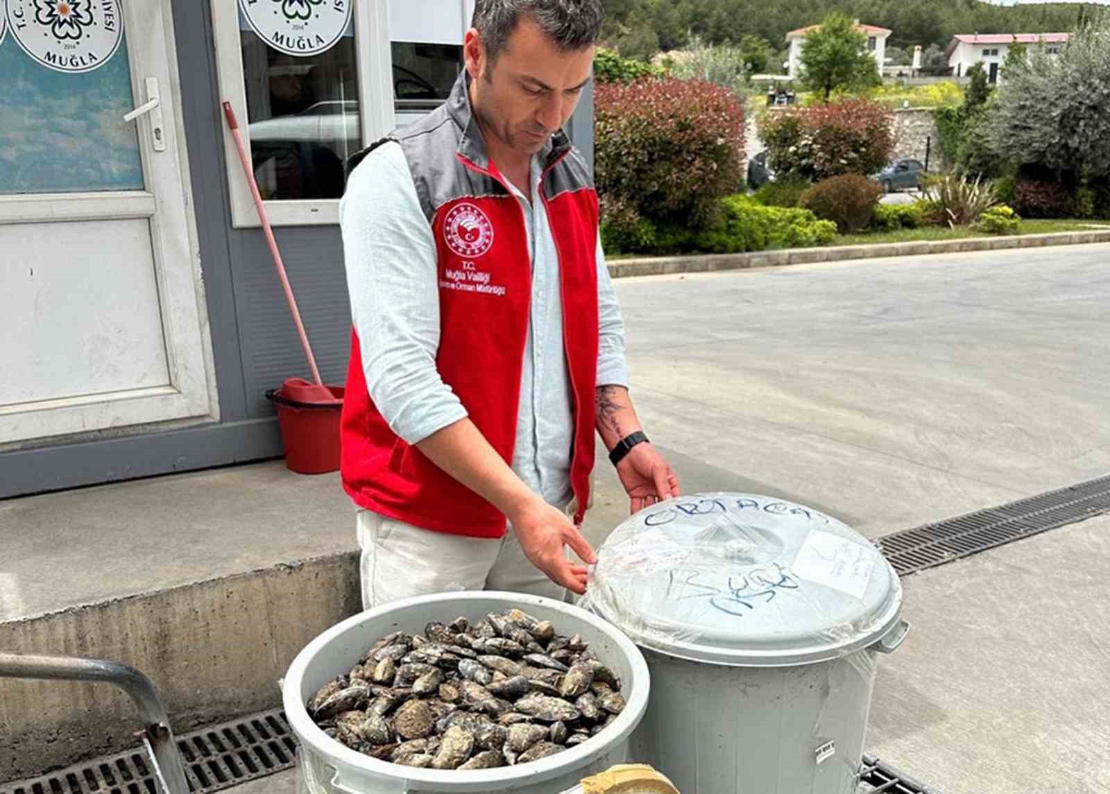 Otobüsün bagajında çöp kovasında taşınan 100 kilo midyeye el konuldu