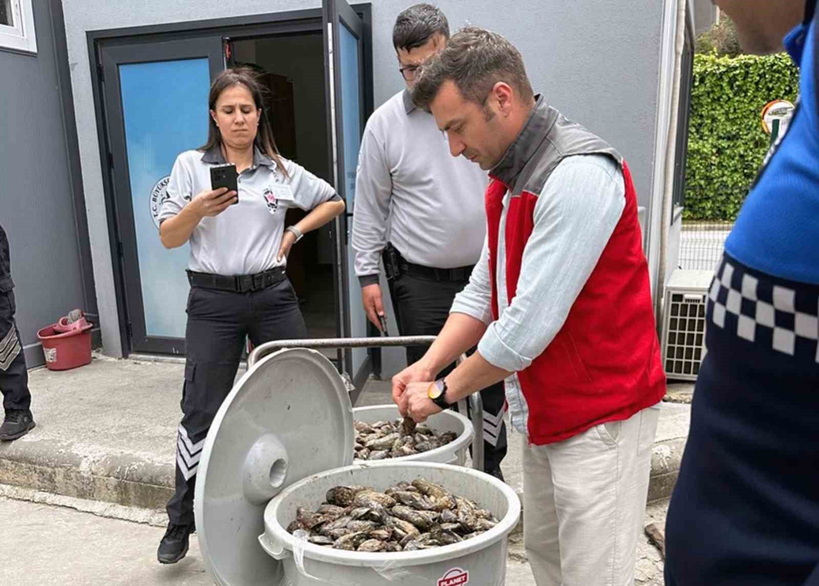 Otobüsün bagajında çöp kovasında taşınan 100 kilo midyeye el konuldu
