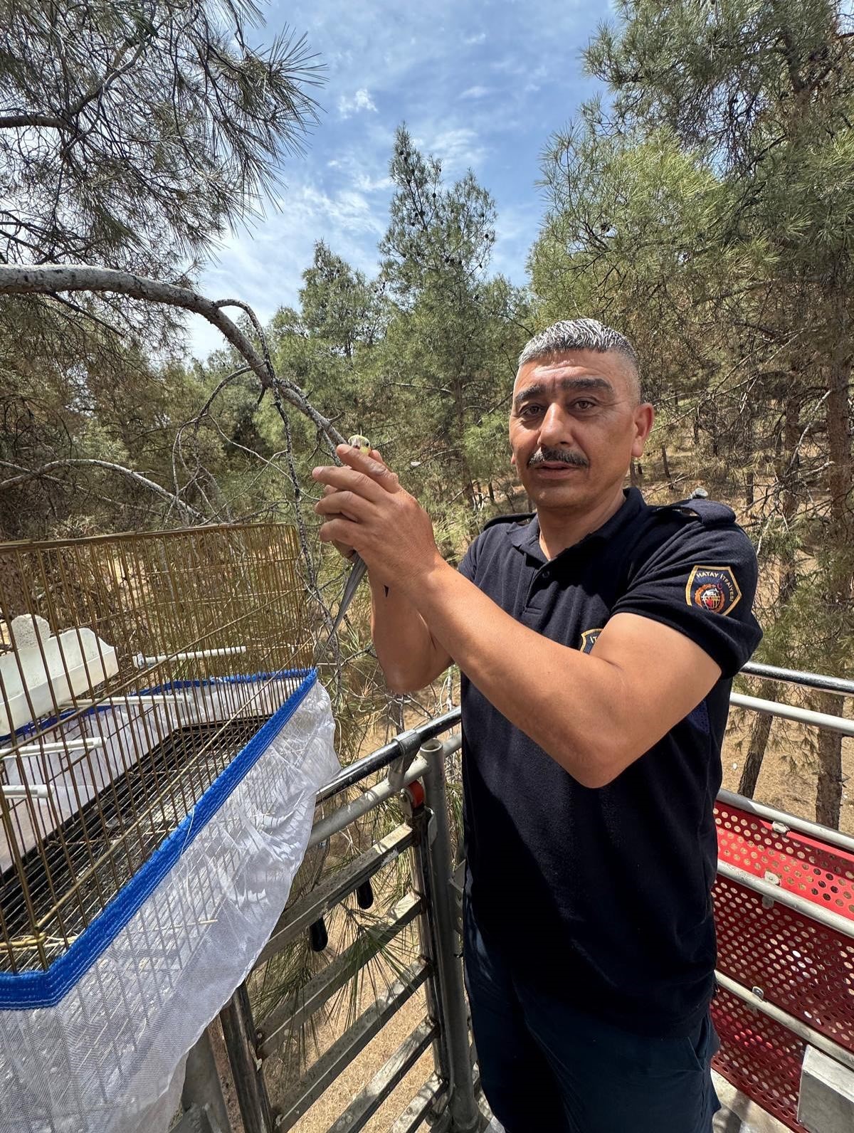 Kafesinden kaçan muhabbet kuşunu itfaiye yakaladı