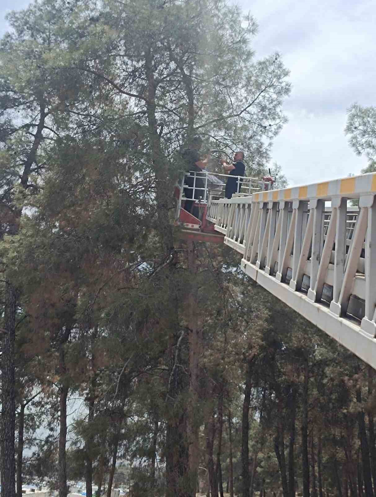 Kafesinden kaçan muhabbet kuşunu itfaiye yakaladı
