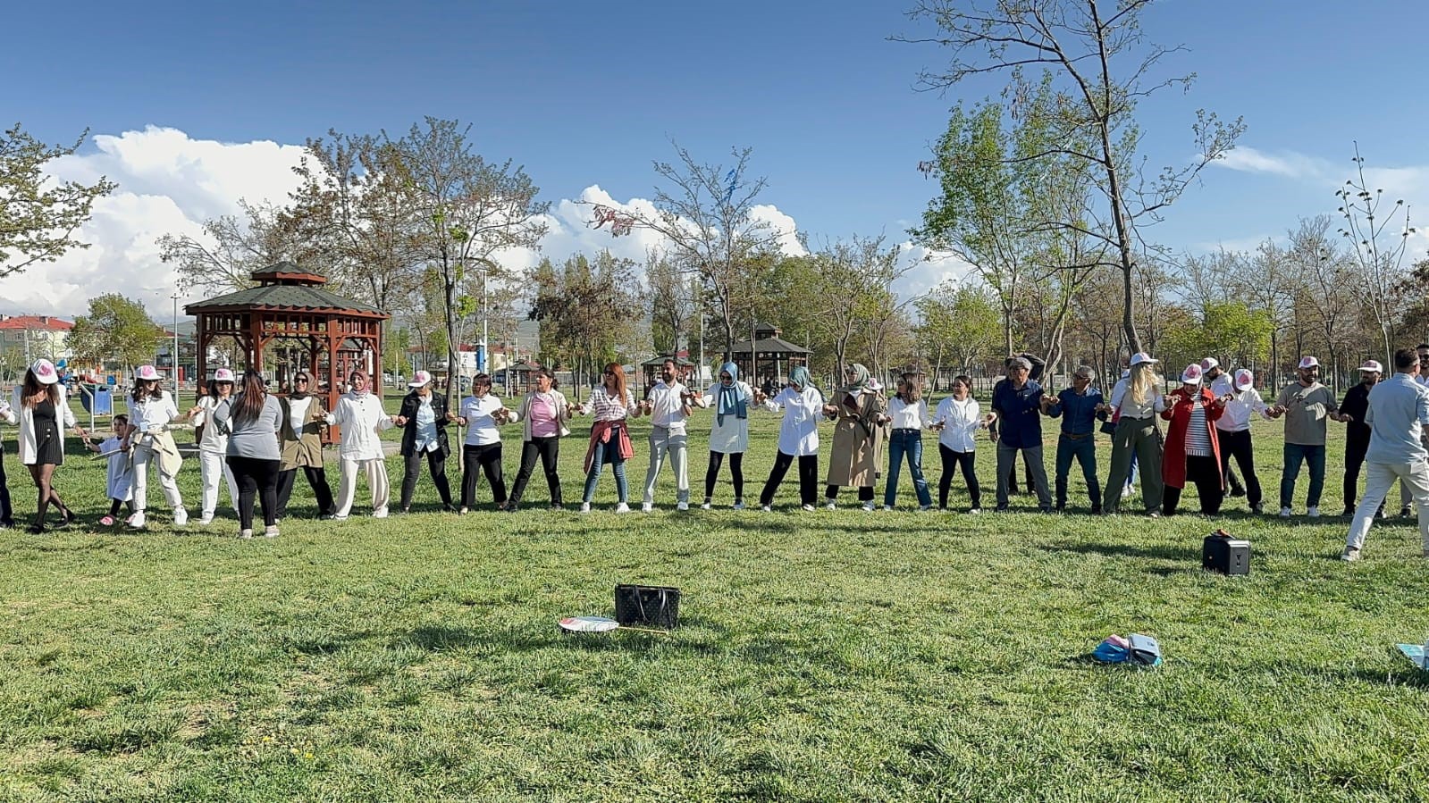 Van’da ‘Sağlık için hareket et" yürüyüşü
