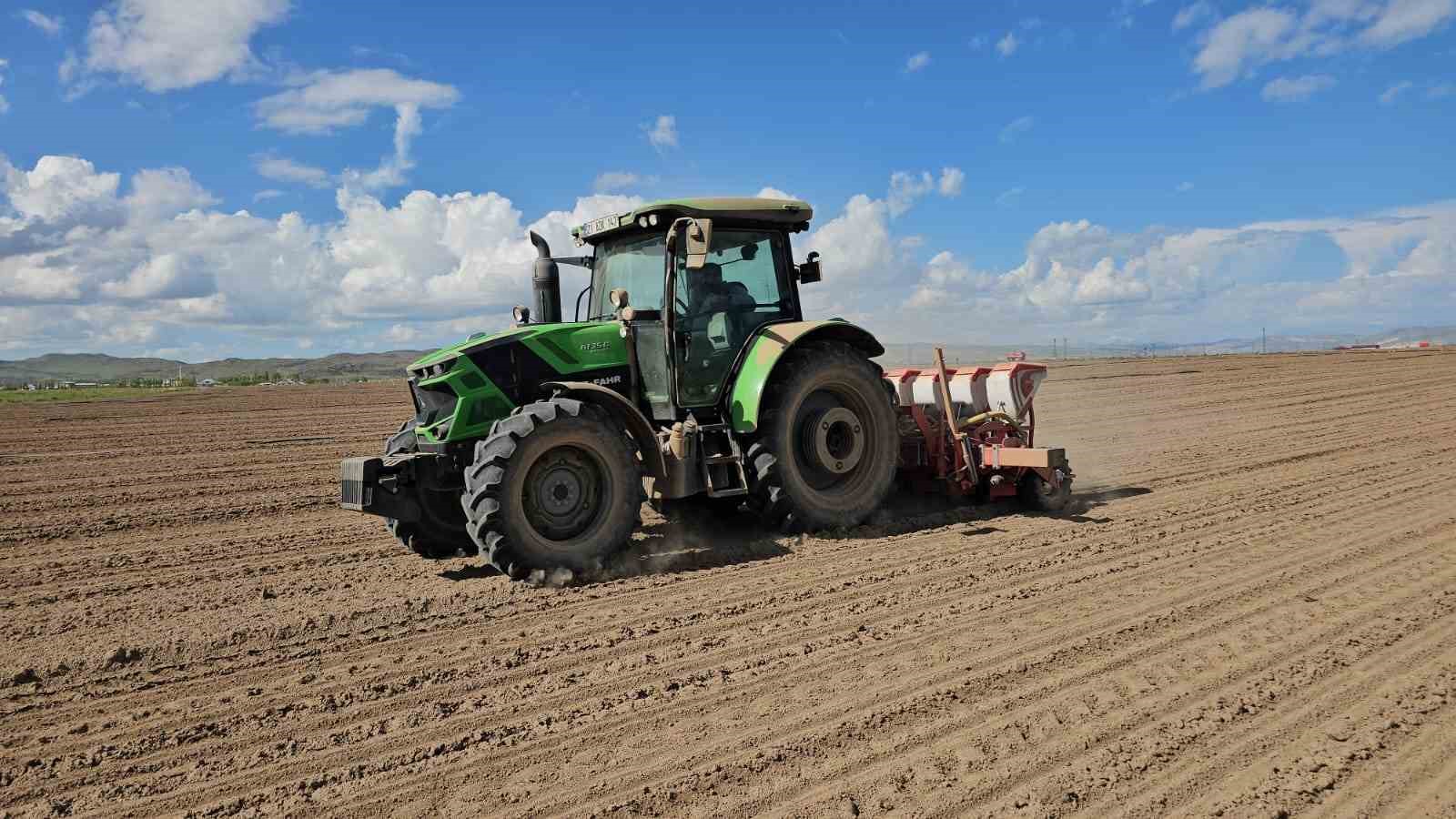 Adilcevaz’da şeker pancarı ekimine başlandı