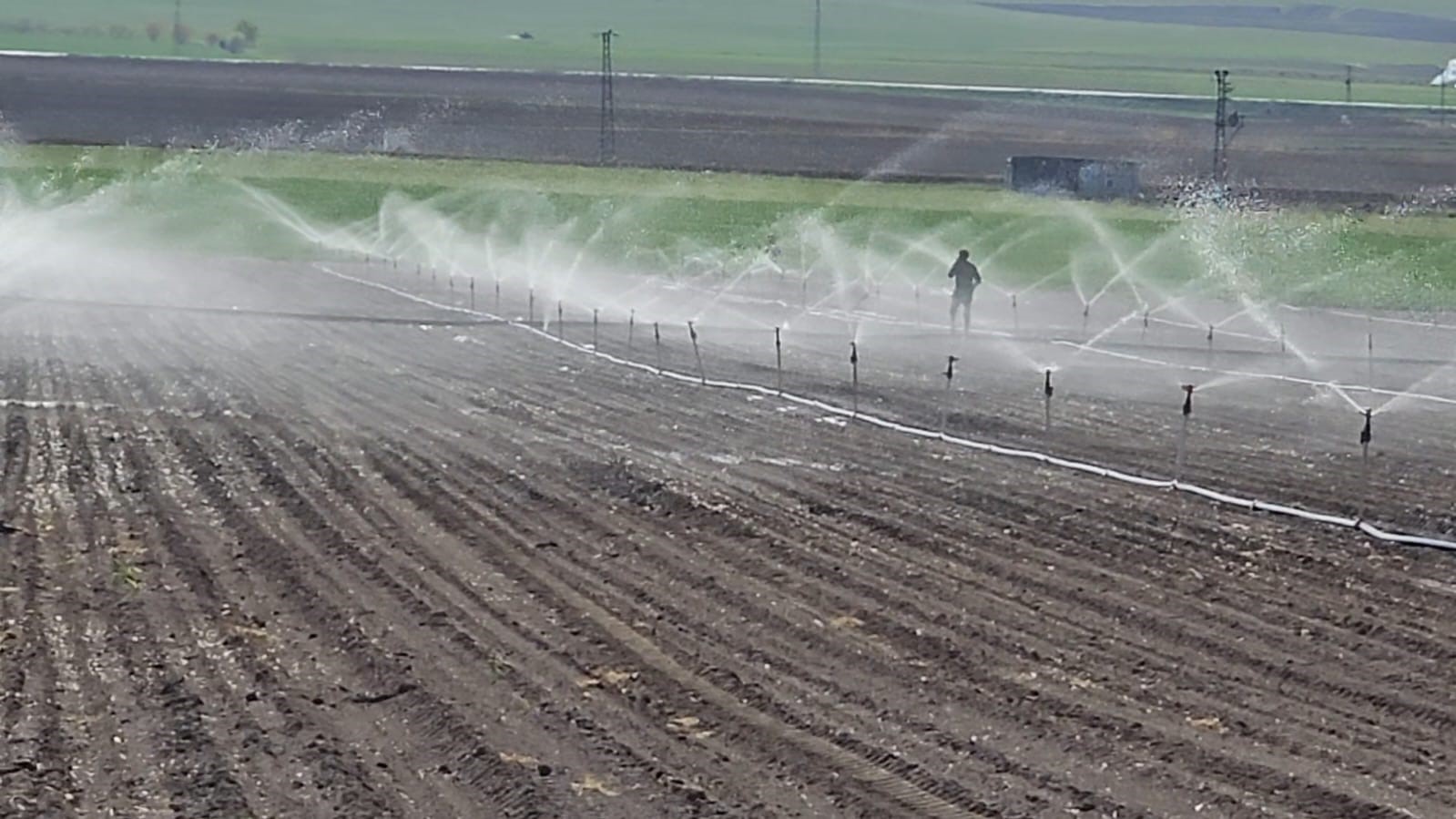 Adilcevaz&rsquo;da şeker pancarı ekimine başlandı
