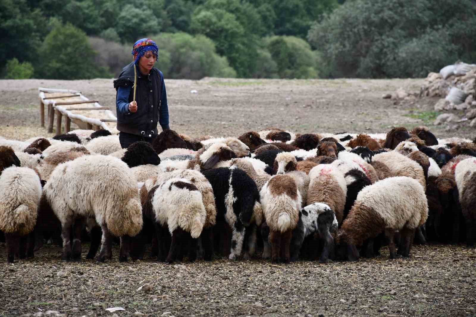 Bir çocuğun sessiz çığlığı: "Hiç oyuncağım olmadı"
