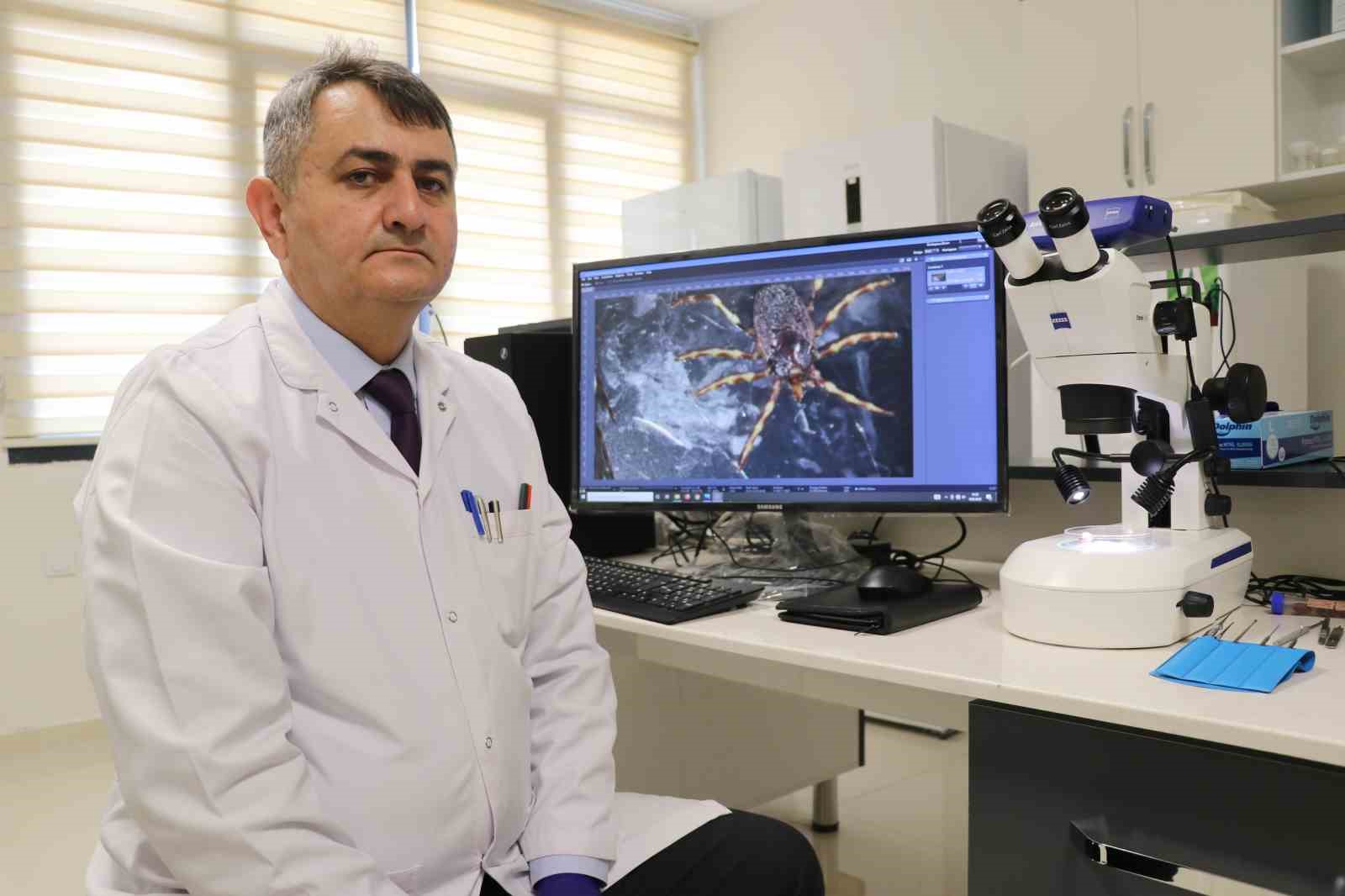 Uzmanı uyardı: "Hayvanların üzerindeki keneler elle koparılmamalı"

