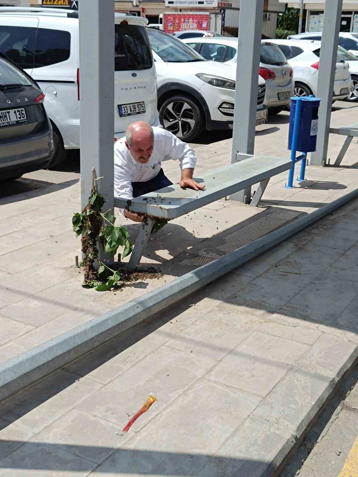 Batman’da otobüs durağında arı paniği
