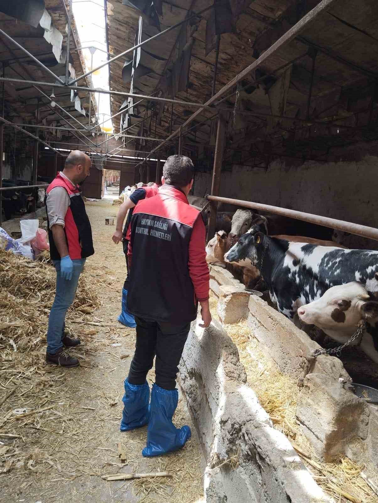 Çorum’da hayvan pazarları kapatıldı

