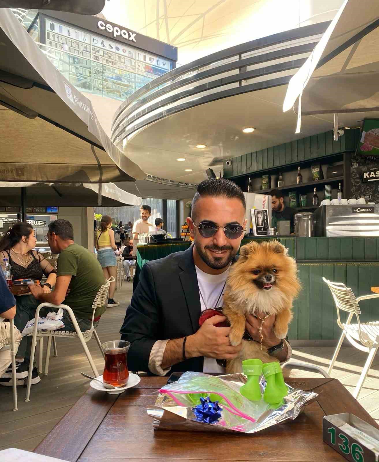 G&uuml;zellik yarışmasında birinci se&ccedil;ilen k&ouml;pek bir hafta sonra ortadan kayboldu
