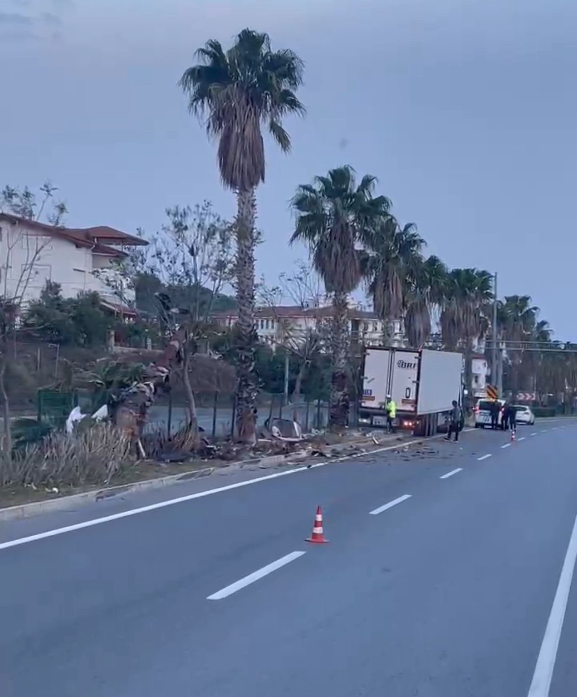 Gazipaşa&rsquo;da sebze y&uuml;kl&uuml; tır ref&uuml;jdeki palmiye ağacına &ccedil;arptı: 1 yaralı
