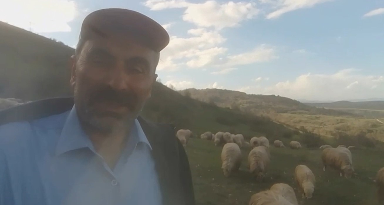 Kangallardan korkan ayı ağaca tırmandı