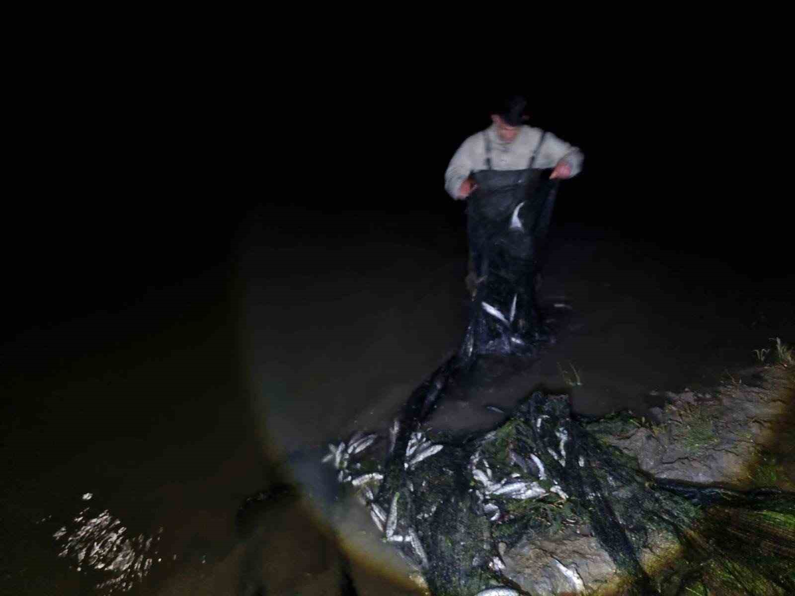 Van’da ele geçirilen 1 ton canlı balık suya bırakıldı