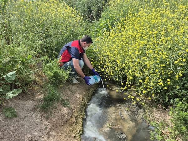 Çanakkale’de çeltik ekim alanlarında sivrisinek mücadelesi başladı