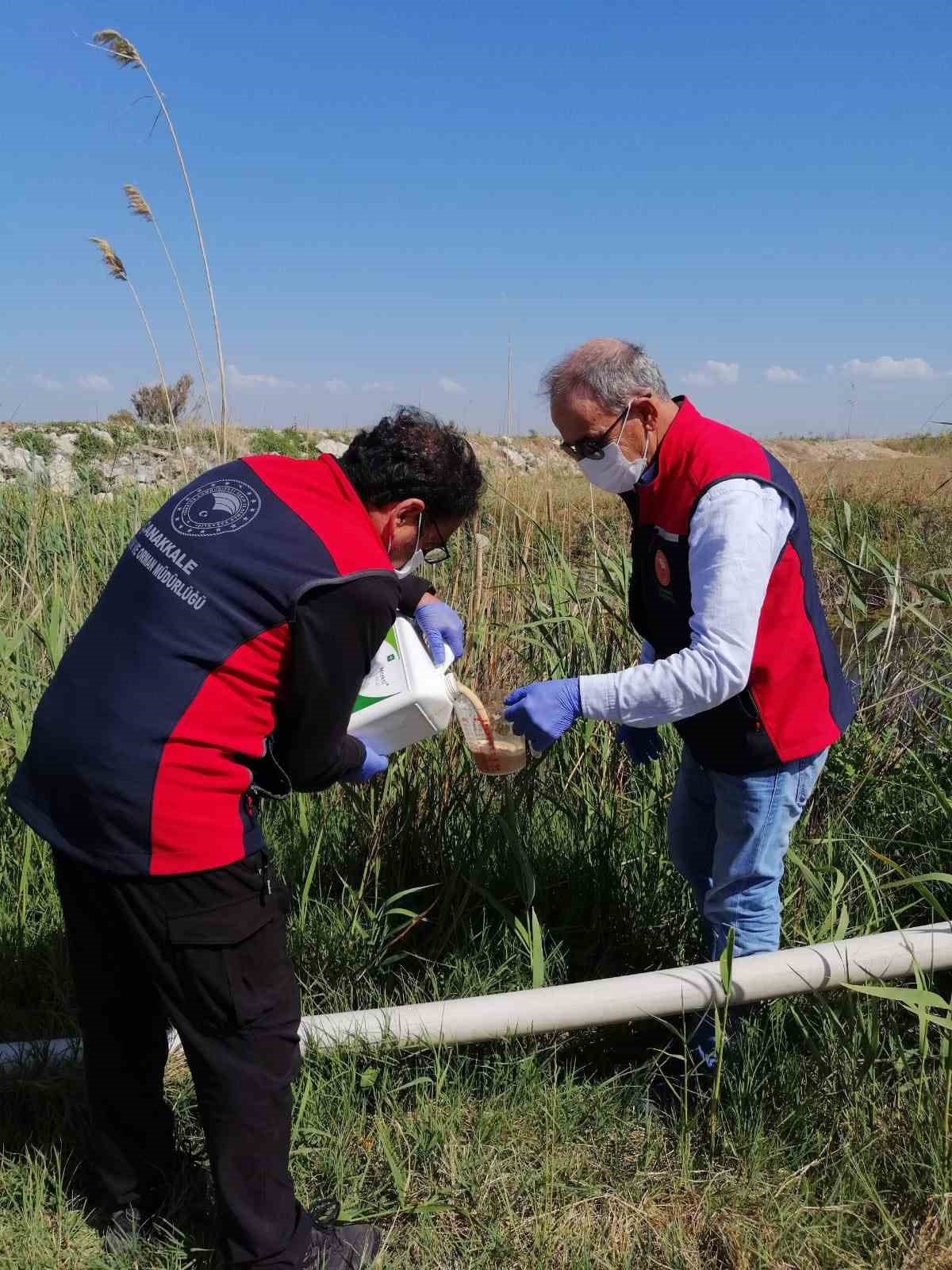 Çanakkale’de çeltik ekim alanlarında sivrisinek mücadelesi başladı
