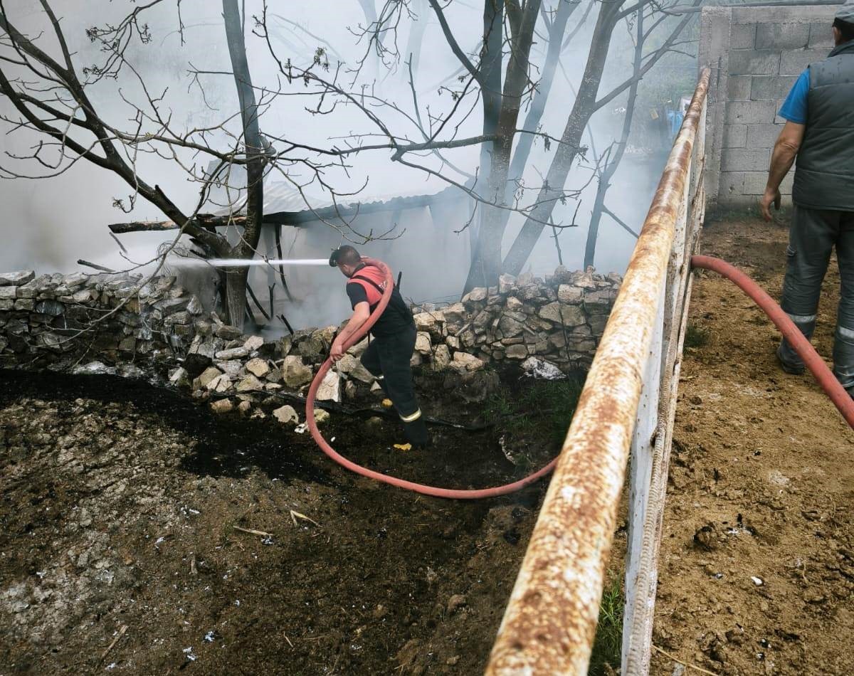 Domaniç’te çıkan yangında 100 tavuk telef oldu