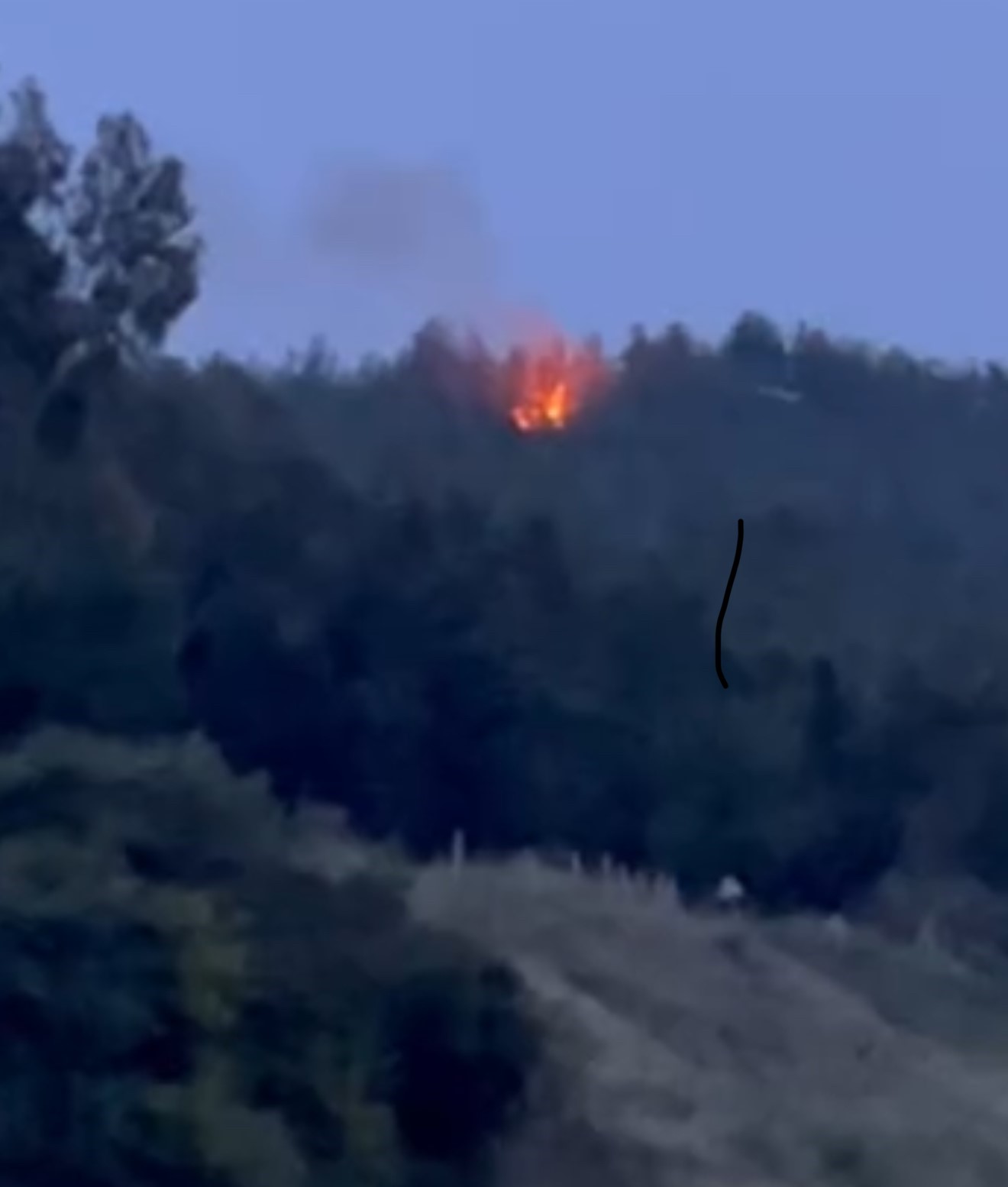 Adana&rsquo;da iki noktada &ccedil;ıkan orman yangınları kontrol altına alındı
