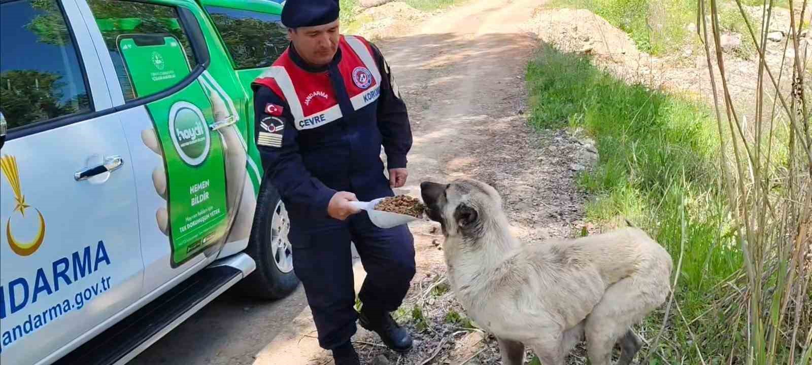 Karanlıkdere Vadisi&rsquo;nde jandarmadan denetim
