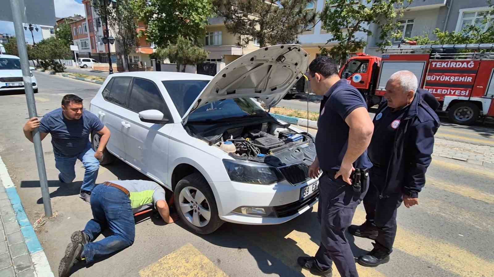 Kedi sesiyle kedi kurtarma operasyonu
