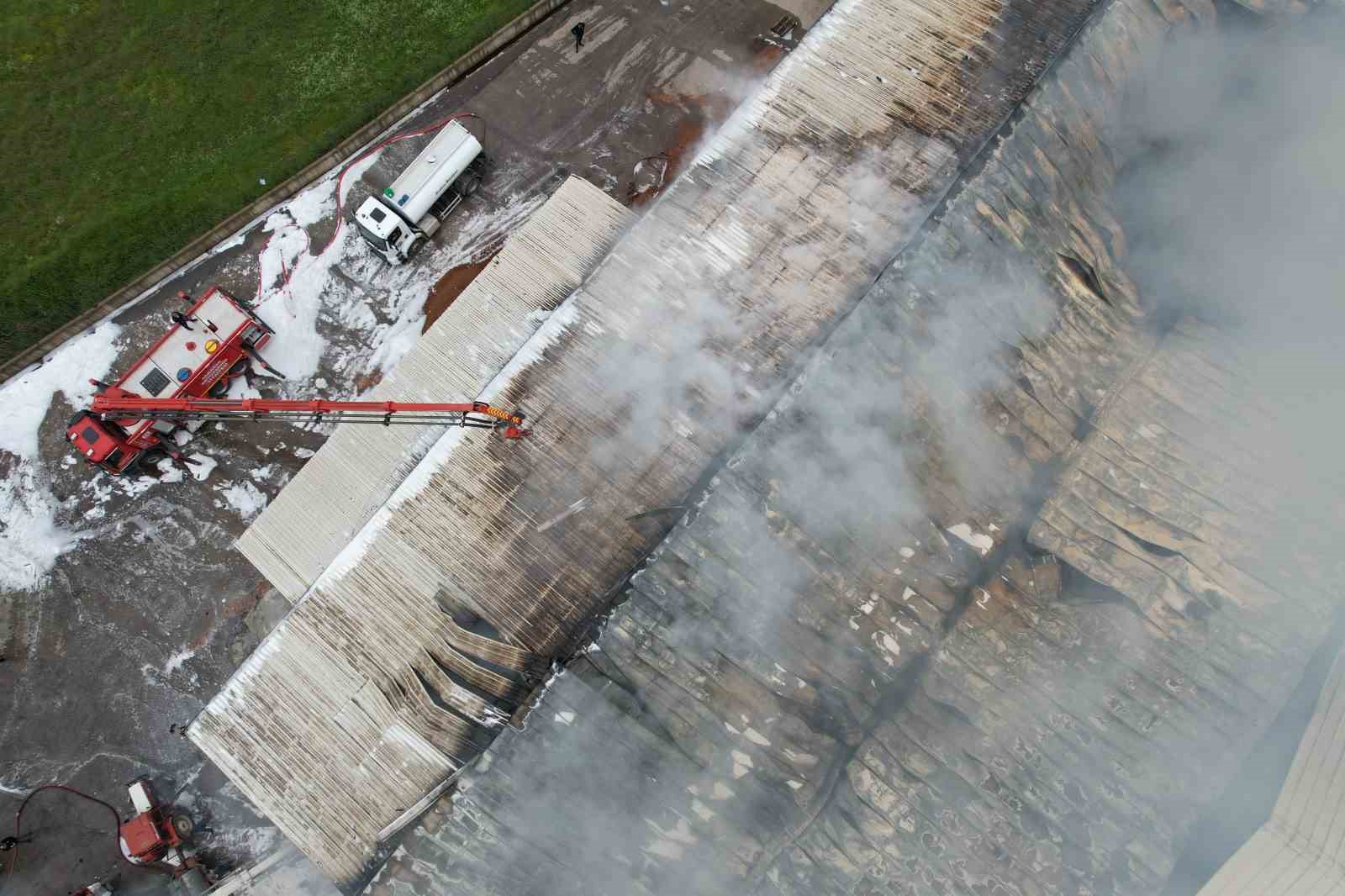 Sakarya’da fındık kırım fabrikasındaki yangın havadan görüntülendi