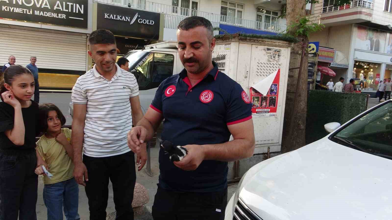 Batman&rsquo;da ağa&ccedil;tan d&uuml;şen yavru kargalar itfaiye ekiplerince yuvaya bırakıldı
