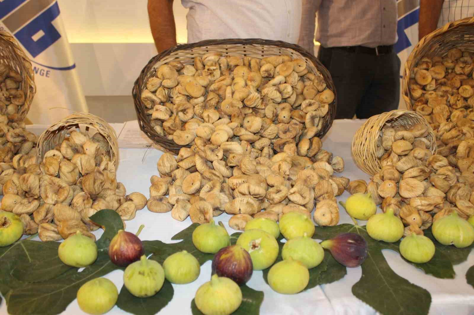 Kuru incir ihracatı yüzde 28 büyüdü