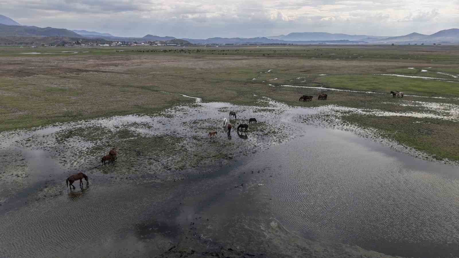 Başkan B&uuml;y&uuml;kkılı&ccedil;: "H&uuml;rmet&ccedil;i Sazlığı&rsquo;nda yatırımlar ile yeni bir d&ouml;nem başladı"
