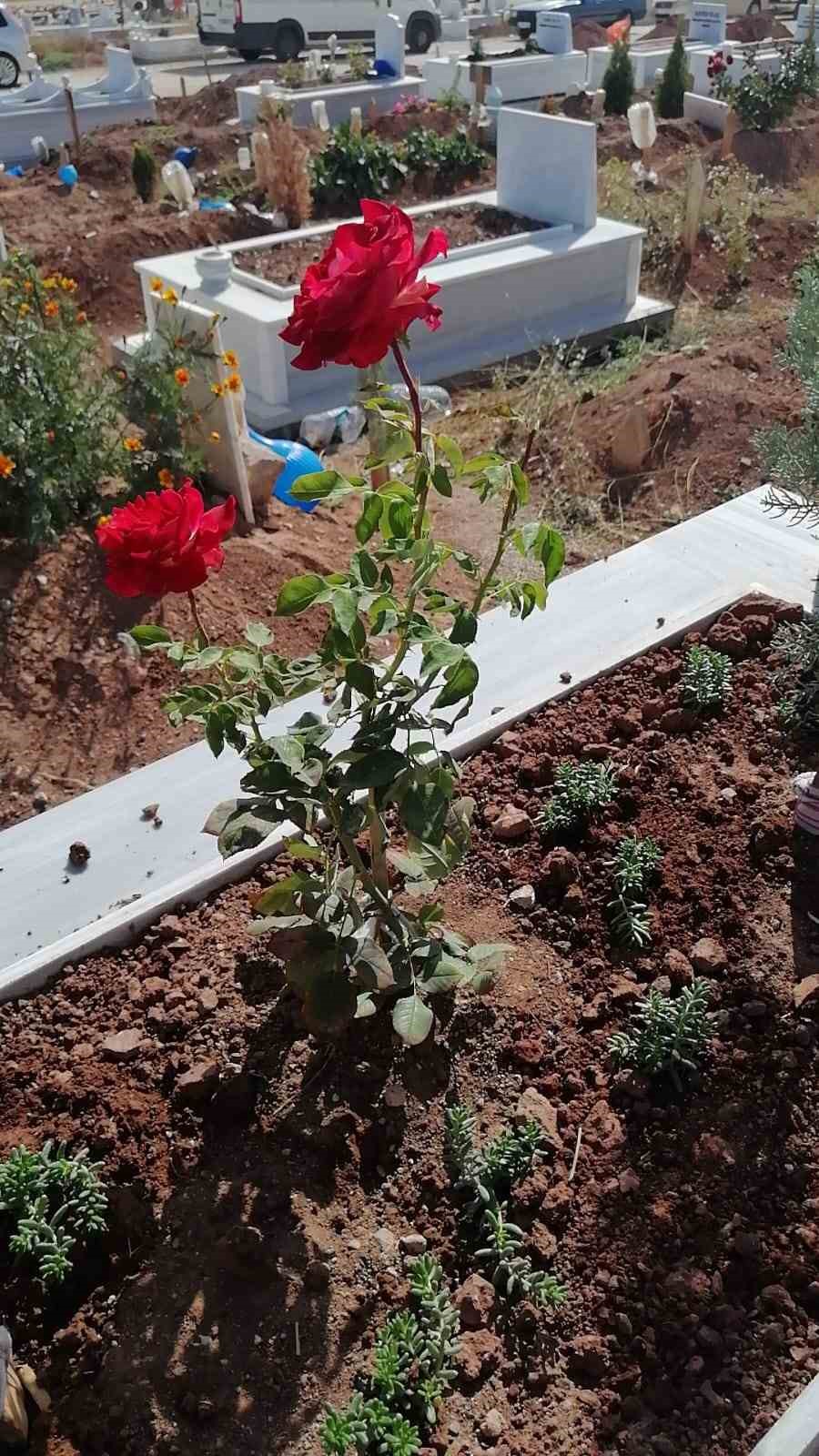 Anneler Günü’nde mezarlıkları yeşillendirdiler