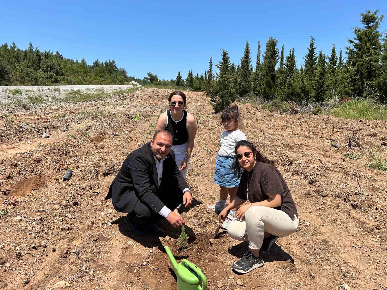 Bodrum&rsquo;da fidanlar anneler i&ccedil;in k&ouml;k saldı
