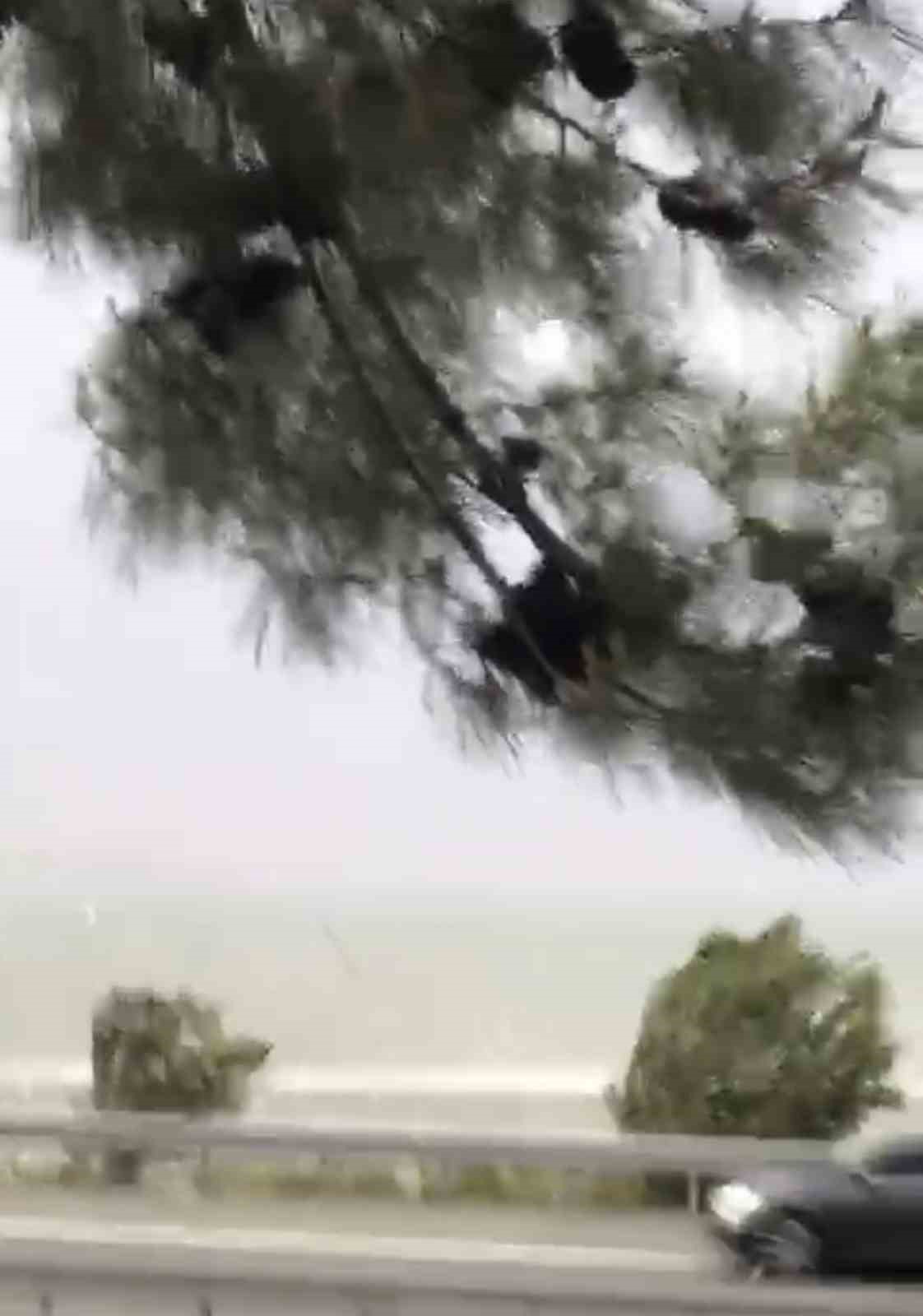 Elazığ’da fırtına etkili oldu