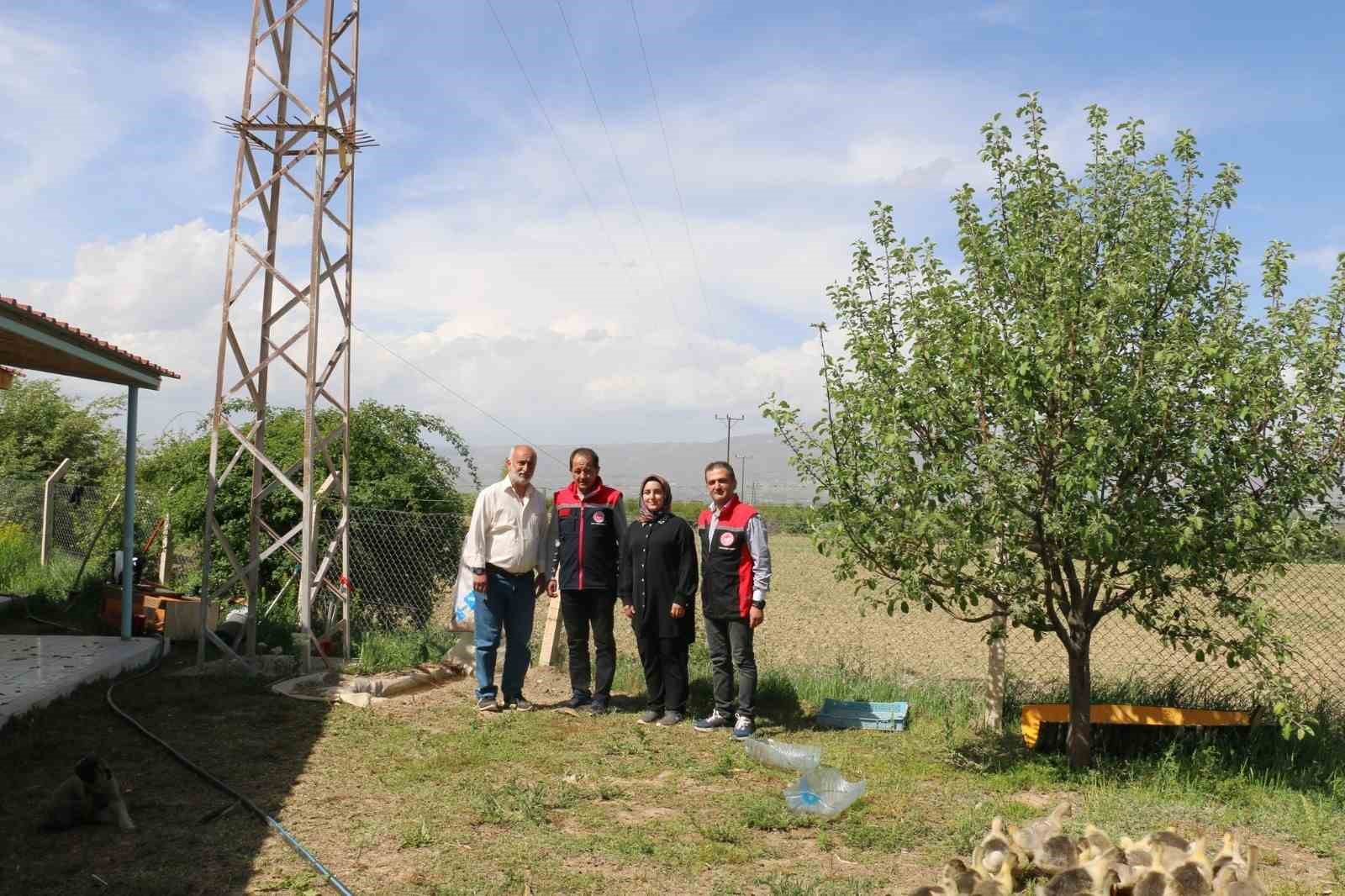 40 binin üzerinde ağaç diken Erzincanlı profesör, kazlarla biyolojik mücadele uyguluyor