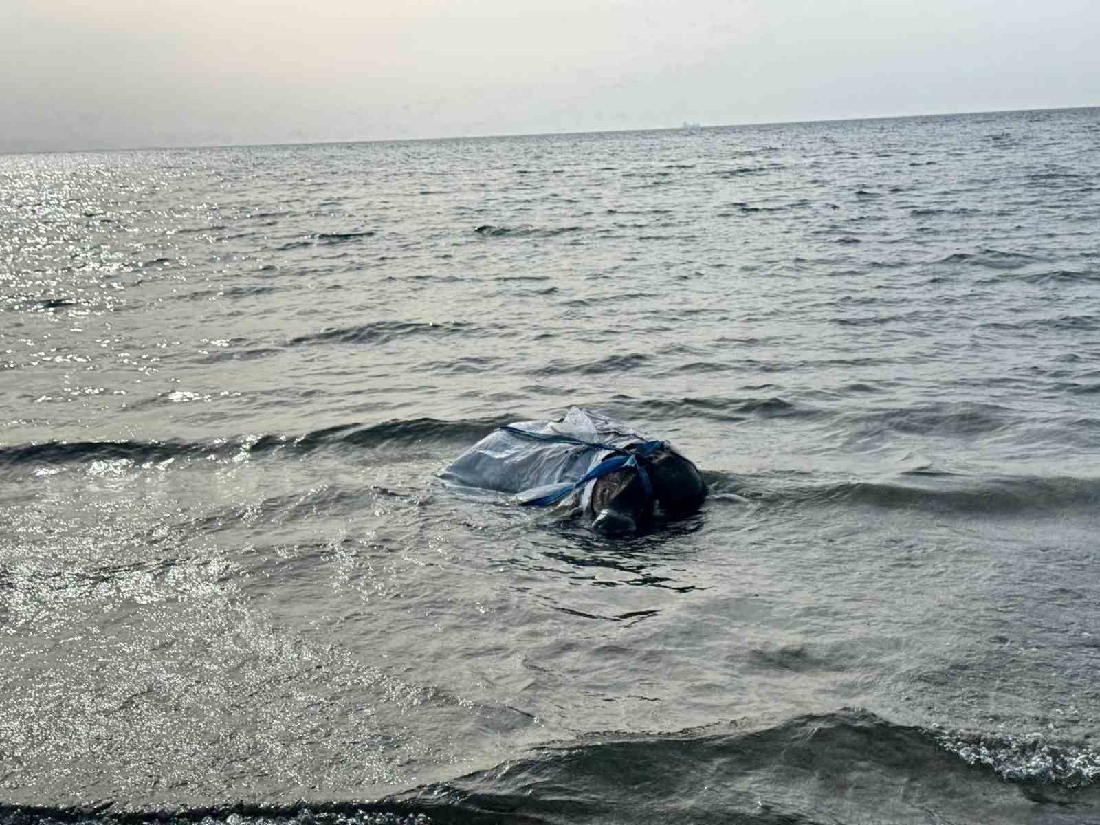 Denizden balık yerine angus çıktı