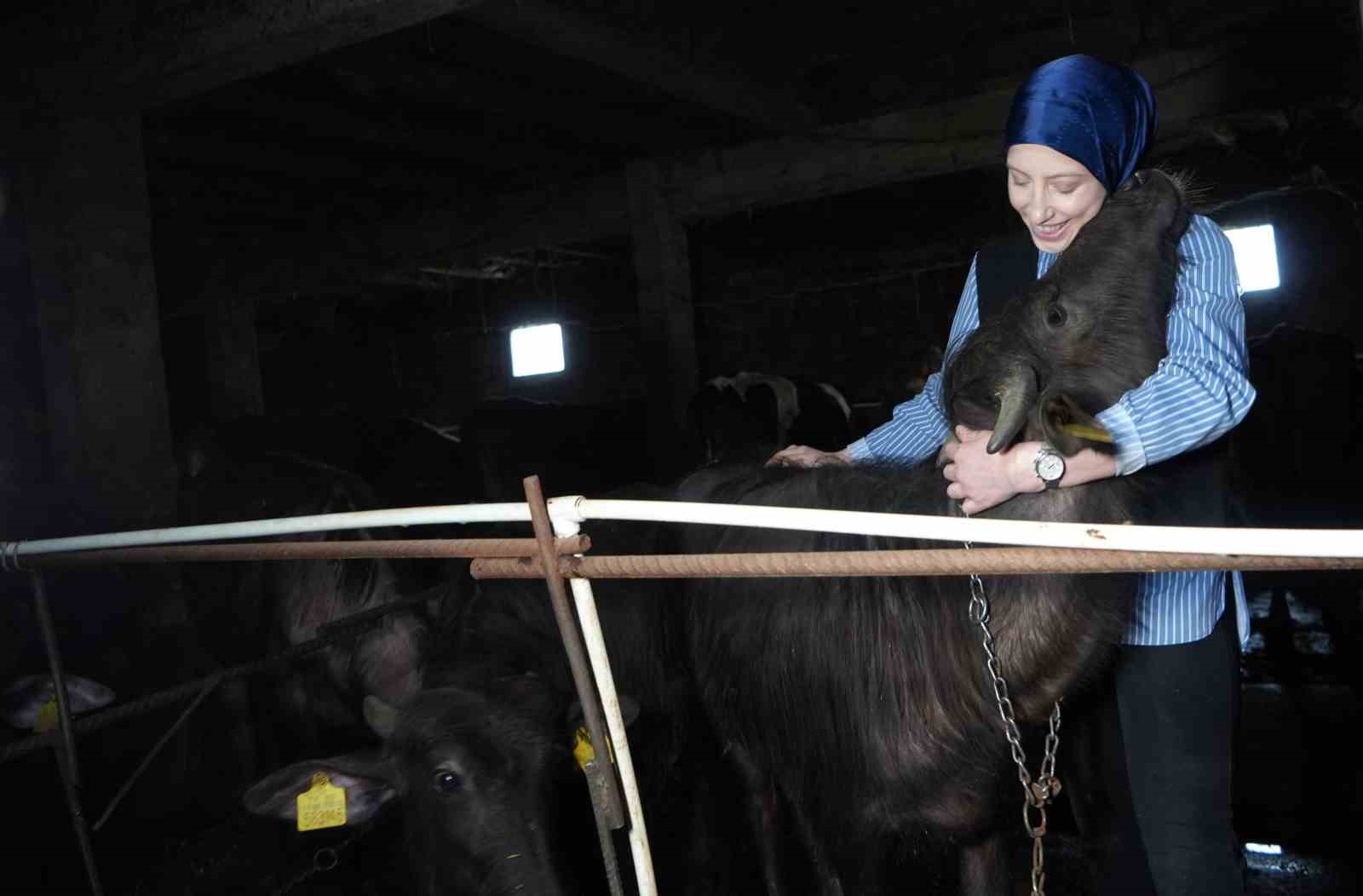 Bayburt’un tek kadın manda yetiştiricisi devlet desteğiyle kendi çiftliğini kurdu: Mandaları köyün simgesi oldu