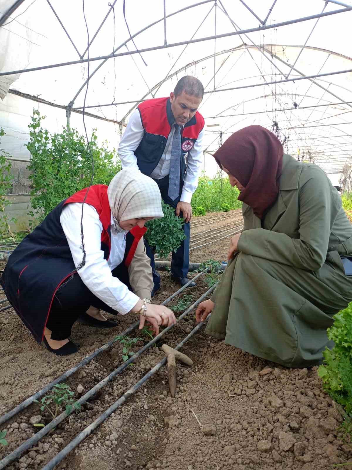 Kadın çiftçiye destek
