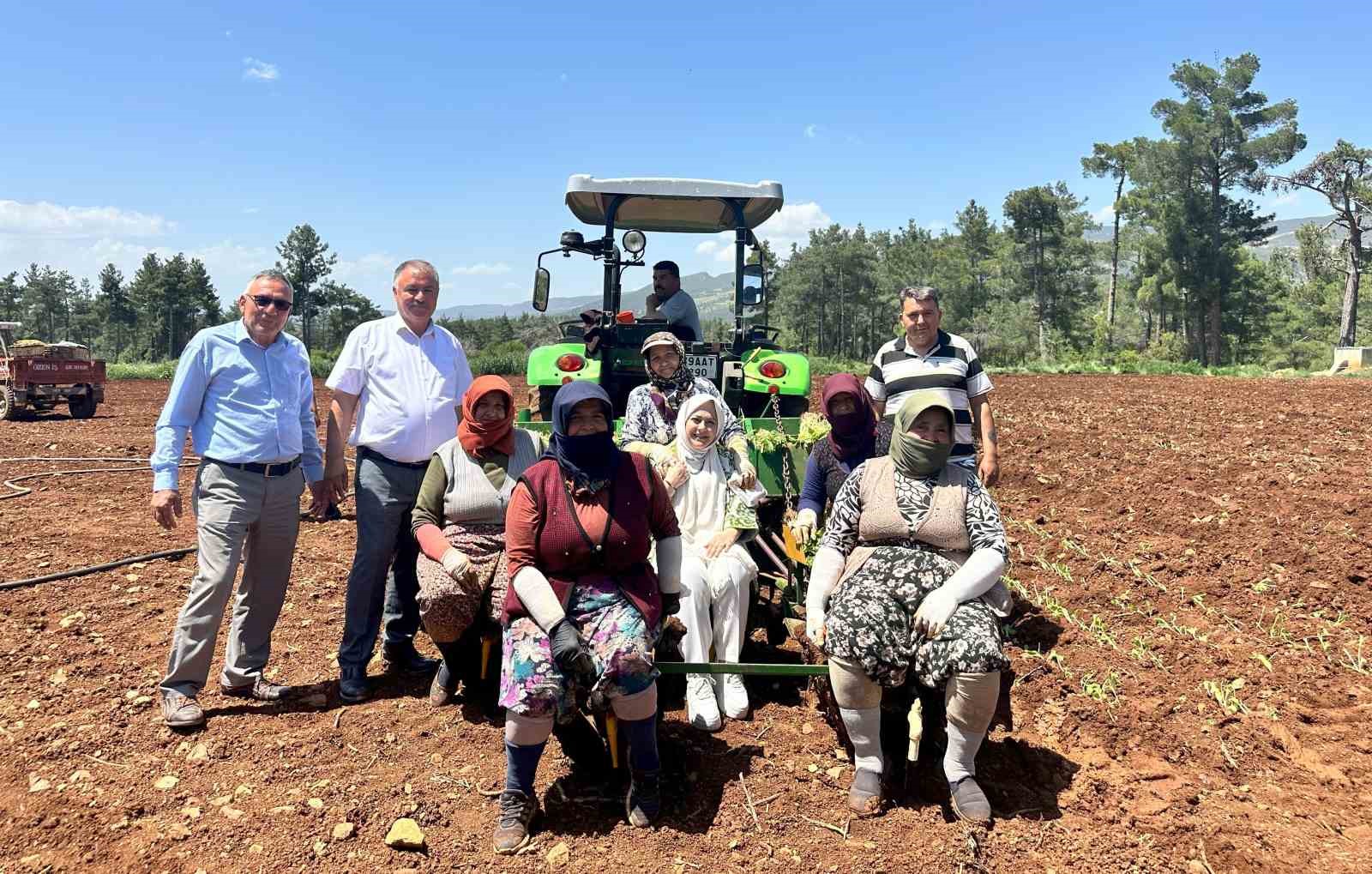 Emekçi kadınlar Anneler Gününü tütün tarlasında kutladı
